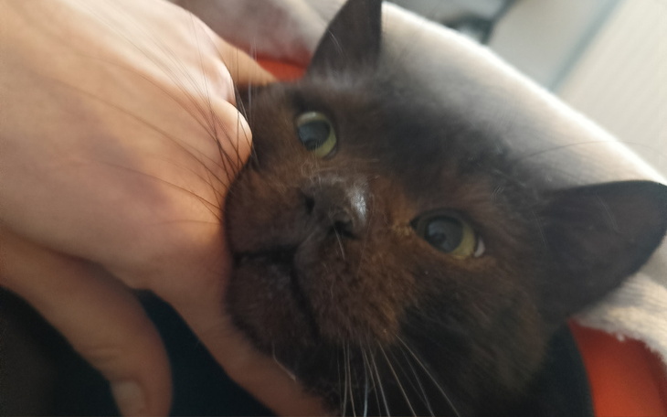 Zbiórka Nierówna walka Pomocy - zdjęcie główne