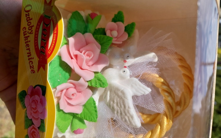 Zbiórka Pomoc chwilowa - zdjęcie główne