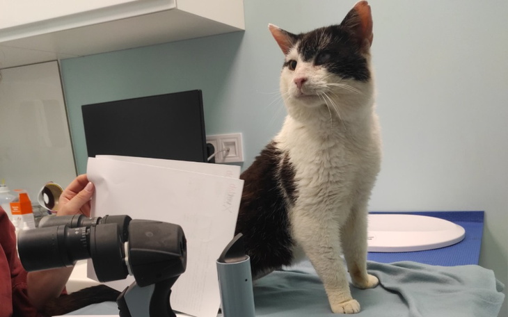 Zbiórka Na dalsze leczenie Bueno - zdjęcie główne