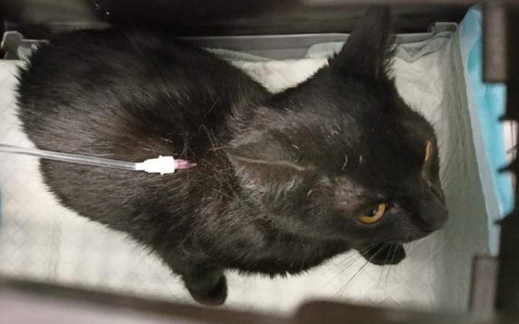 Zbiórka Jacuś - pomóż uratować mu życie - zdjęcie główne