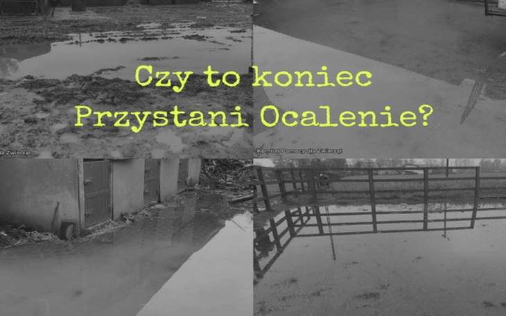 Zbiórka Przystań walczy z żywiołem!!!! - zdjęcie główne