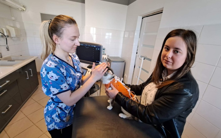 Zbiórka Ich być albo nie być... - zdjęcie główne