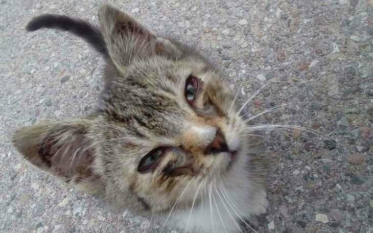 Zbiórka Elektryka choroba dotyka - zdjęcie główne