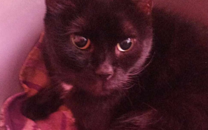 Zbiórka Rezonans dla mojej Tosi - zdjęcie główne