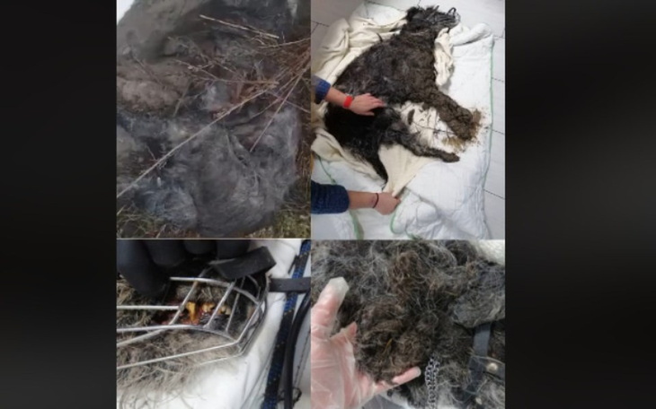 Zbiórka Wigilia - czy zdarzy się cud - zdjęcie główne