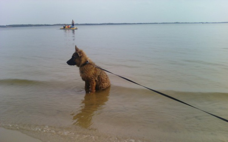 Zbiórka Pomoc dla przyjaciela - zdjęcie główne
