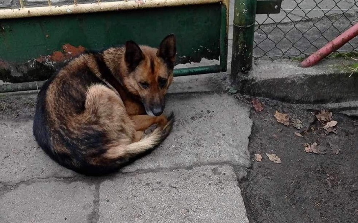 Zbiórka By był bezpieczny PILNE - zdjęcie główne