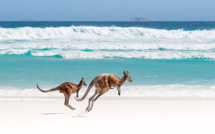 Zbiórka Podróż do Australii - zdjęcie główne