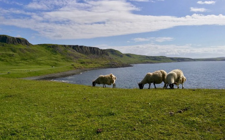 Zbiórka Na wyjazd za granicę do szkocji - zdjęcie główne