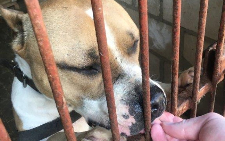 Zbiórka By zaczął nowe życie… - zdjęcie główne