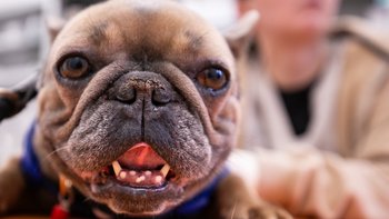 Zbiórka Oddech dla Sandry - miniaturka zdjęcia