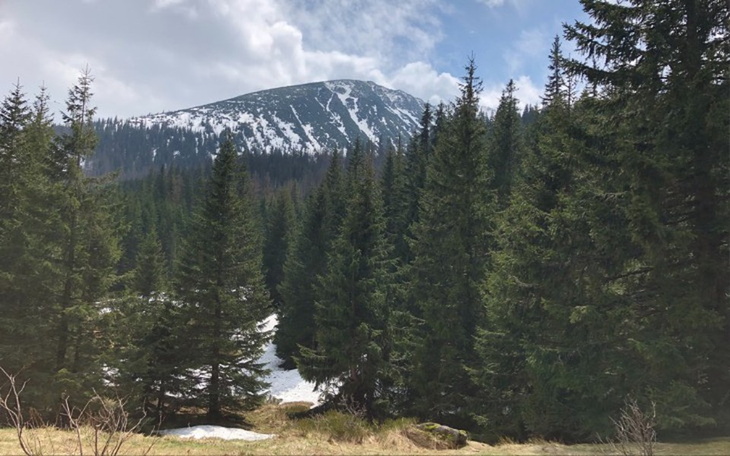 Zbiórka Zbiórka na spłatę - zdjęcie główne