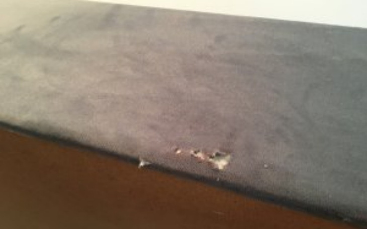 Zbiórka Nowe łuszko - zdjęcie główne