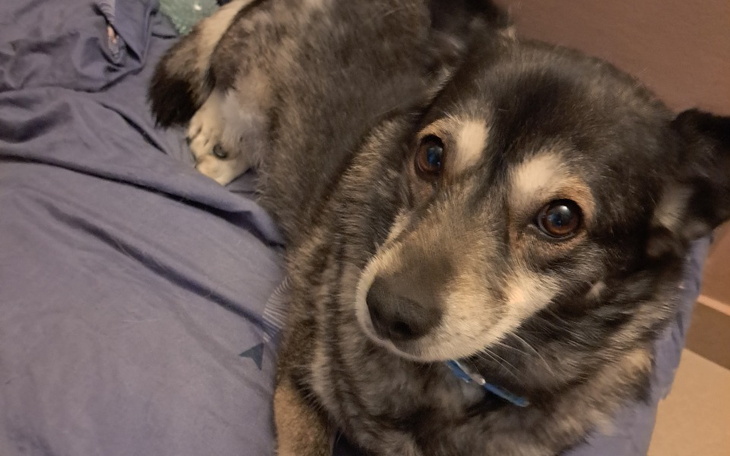 Zbiórka Sama z dwójką małych dzieci - zdjęcie główne