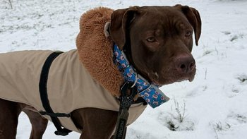 Zbiórka Aron TTB wyrwany przed wyrokiem - miniaturka zdjęcia