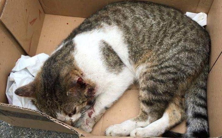 Zbiórka HAPPY END? nie tym razem! - zdjęcie główne