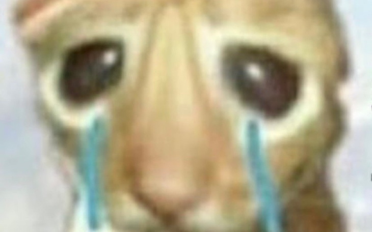 Zbiórka psychologiczna sytuacja - zdjęcie główne