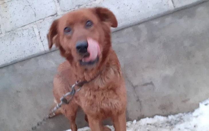 Zbiórka Miała zostać powieszona. - zdjęcie główne