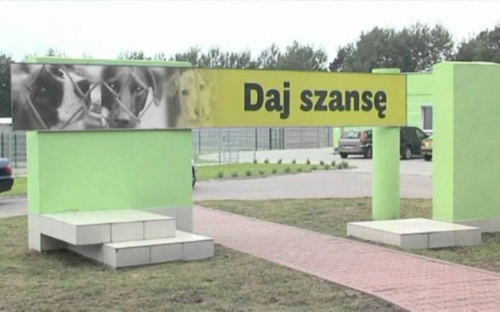 Zbiórka Schronisko w Pile Leszków - zdjęcie główne