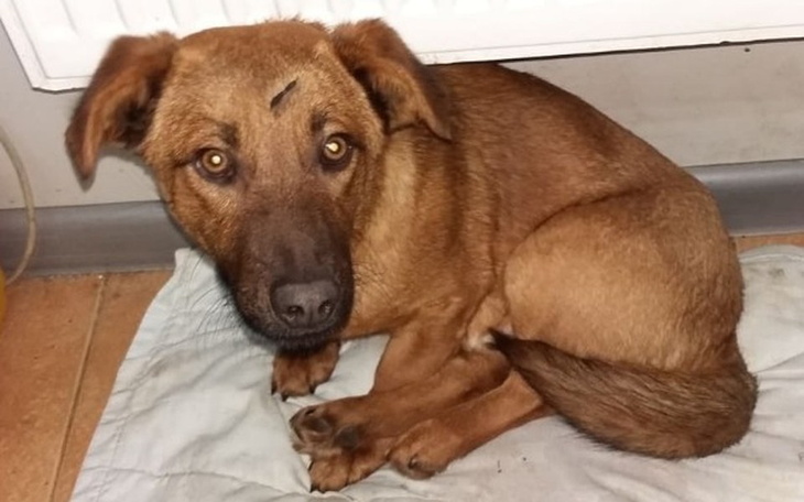 Zbiórka Aby Jimmy mógł dojechać do domu! - zdjęcie główne