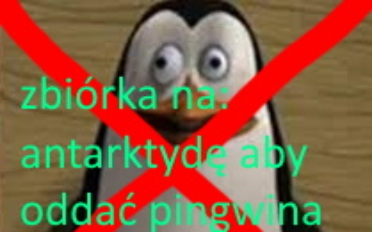 Zbiórka zbiórka na wyjazd na anktartyde - zdjęcie główne