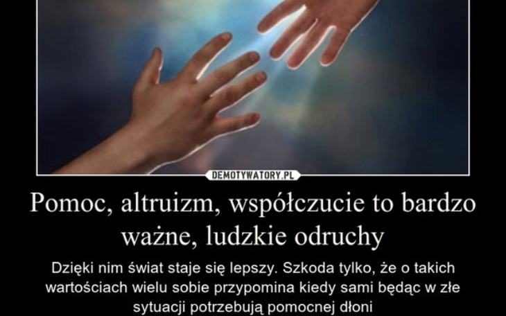 Zbiórka Zbiórka Misie dla Dzieci z Onko. - zdjęcie główne