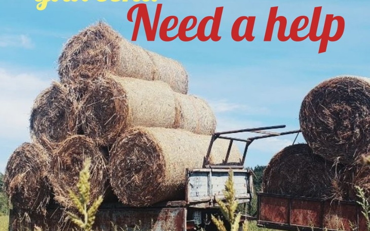 Zbiórka Przyczepa do siana dla koni - zdjęcie główne