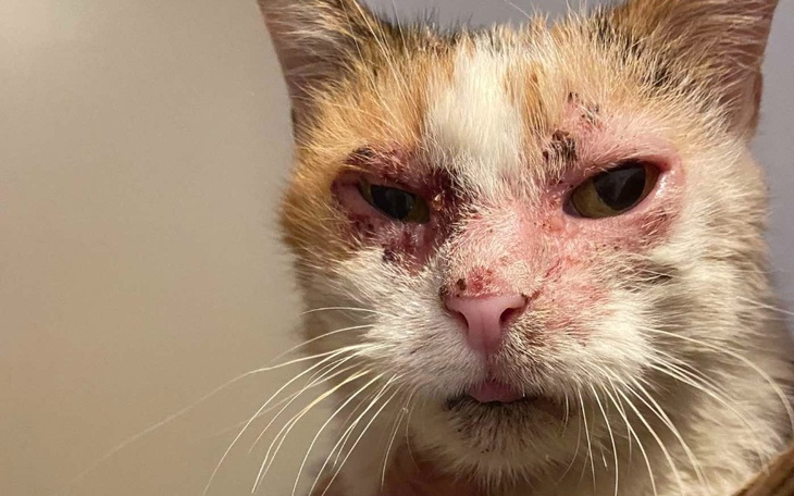 Zbiórka Na badania i leki dla Olgi - zdjęcie główne