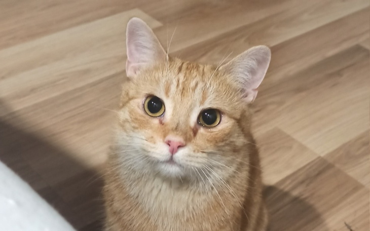 Zbiórka Krzyś walczy - zdjęcie główne