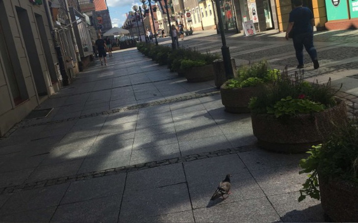 Zbiórka Zbieram na leki - zdjęcie główne