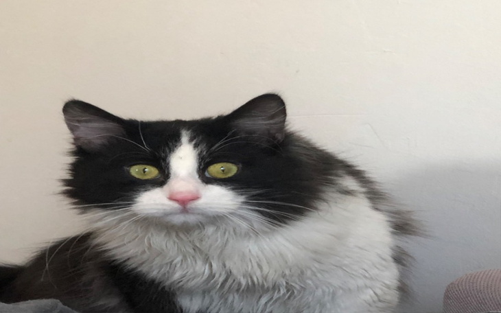 Zbiórka Na operacje sercowa - zdjęcie główne