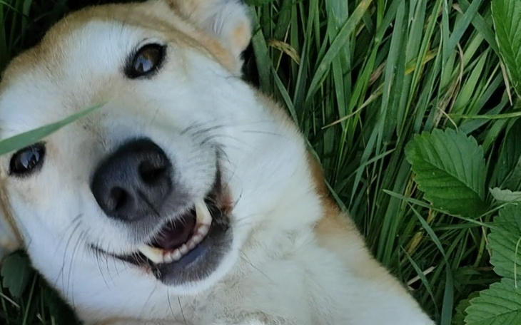 Zbiórka Operacja kręgosłupa Pioruna - zdjęcie główne