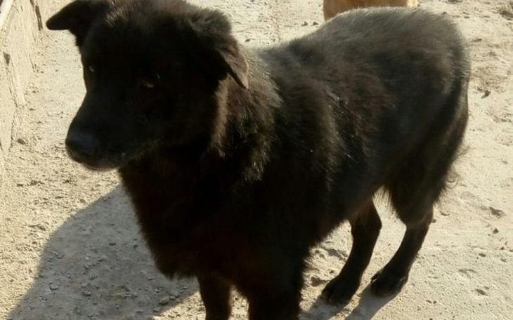 Zbiórka BARY z guzem na szyi - zdjęcie główne