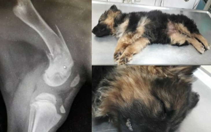 Zbiórka Kazali mnie uśpić. - zdjęcie główne