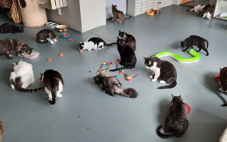 Zbiórka Mruczarnia - maj - zdjęcie główne