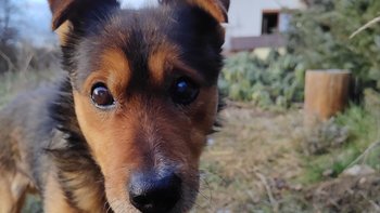 Zbiórka Fart potrzebuje wsparcia - miniaturka zdjęcia