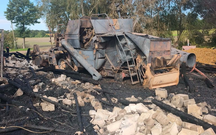 Młoda, brązowa beGA z elementem czapki, uśmiech na tle zieleni.