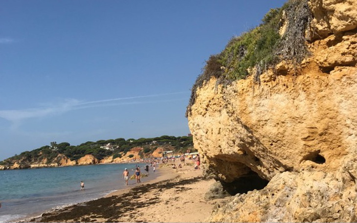 Zbiórka Wymarzone wakacje z rodzicami - zdjęcie główne