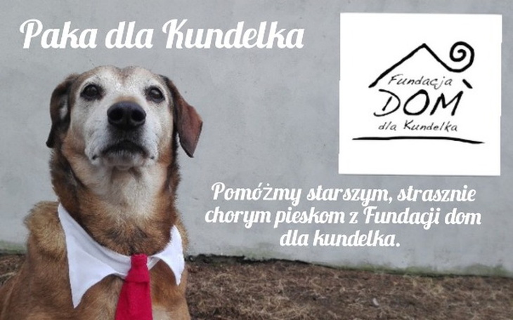 Zbiórka Paka dla Kundelka ❤ - zdjęcie główne