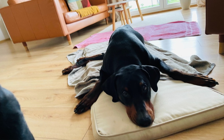 Zbiórka aRes zbiera na grzywnę - zdjęcie główne