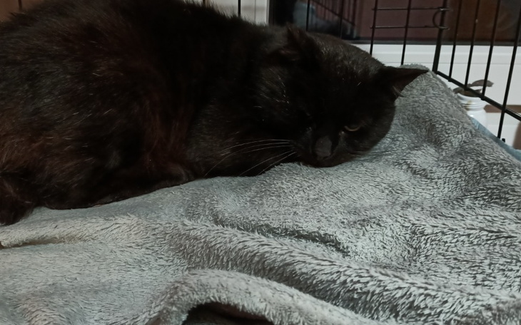 Zbiórka Chorowity zmęczony zyciem - zdjęcie główne