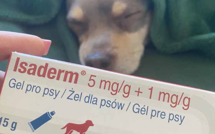 Opakowanie żelu dla psów z zasypiającym psem w tle.