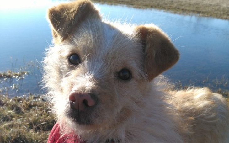 Zbiórka Na pomoc naszym podopiecznym - zdjęcie główne