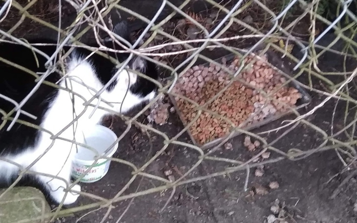 Zbiórka Zapomniane i nie chciane. - zdjęcie główne