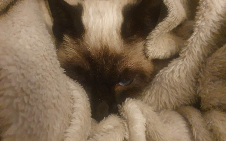 Zbiórka Klakier-zapalenie otrzewnej - zdjęcie główne