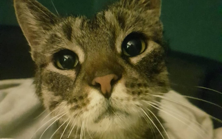 Zbiórka Rehabilitacja i życie bez bólu - zdjęcie główne