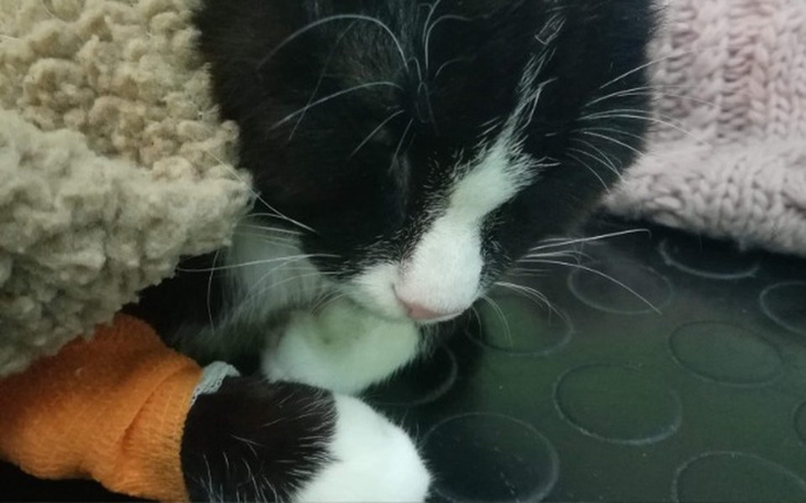 Zbiórka walczę z pechem - przegrałem [*] - zdjęcie główne