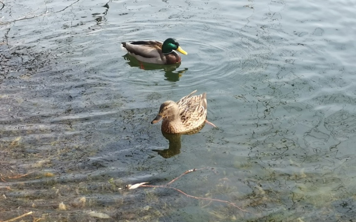 Zbiórka A może nad morze - zdjęcie główne