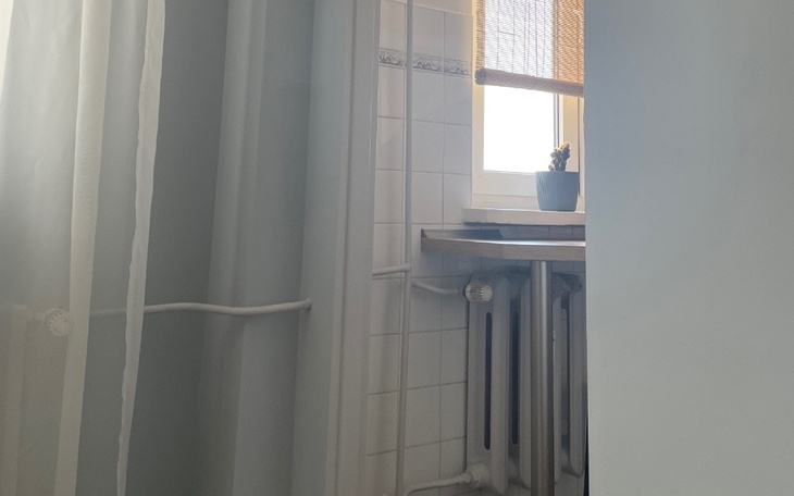 Widok na okno z rośliną i zasłoną w tle.