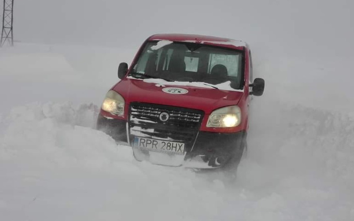 Zbiórka Quad dla Schroniska - zdjęcie główne